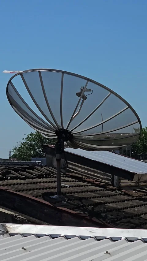 The kite got stuck Stock Footage 252195010