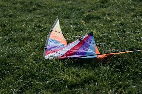 Kite on the grass Photos