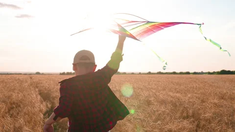 Kite hovers flies in hand of kid. Boy with toy kite, Son plays at sunset, dreams Stock Footage 213720346