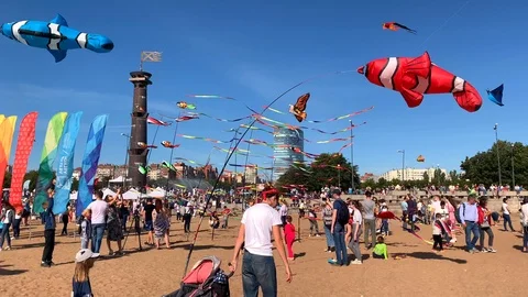 Kite launch in the park Stock Footage 115825005