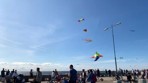Kite launch in the park Stock-Footage 115825031