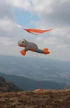 Kite over the mountain Stock Photos