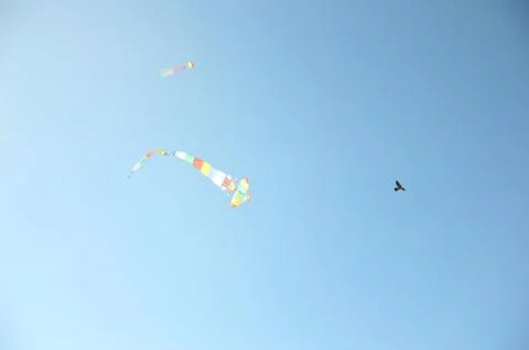 Kite Stock Photos