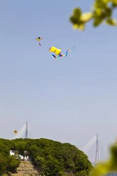 Kite Stock Photos