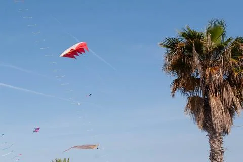 Kite 库存照片