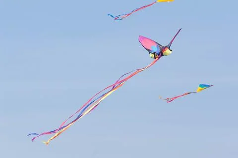 Kite Stock Photos