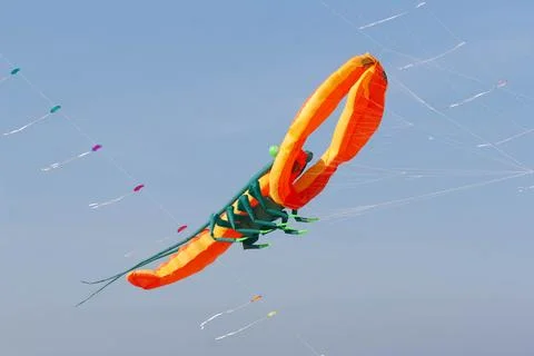 Kite Stock Photos