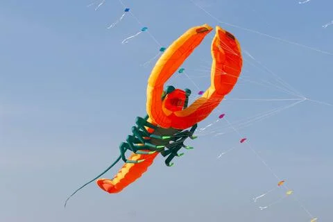 Kite Foto stock