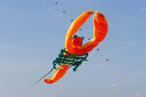 Kite 库存照片