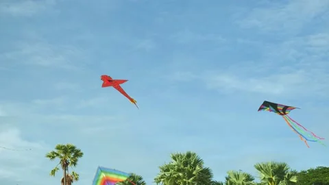 Kite on seabeach2021-001 Stock Footage 160510574