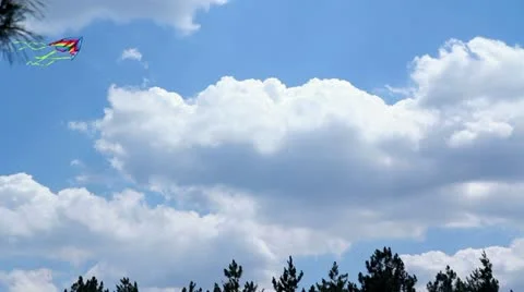 Kite in the skies Stock-Footage 12538030