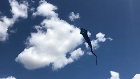 Kite in sky with clouds Video stock 144027829