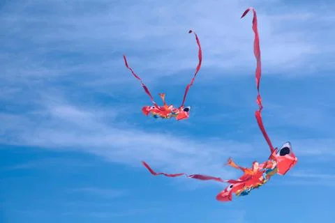Kite sky flying Stock Photos