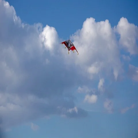 Kite in the sky Stock Footage 69735992