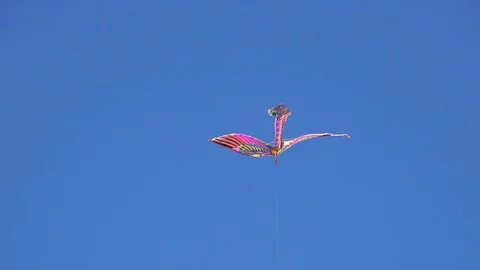 Kite in the sky Stock Footage 81069036