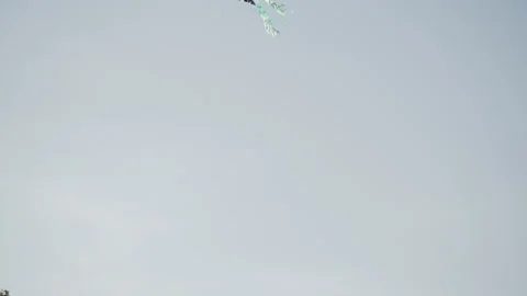Kite in the Sky Stock Footage 147102677
