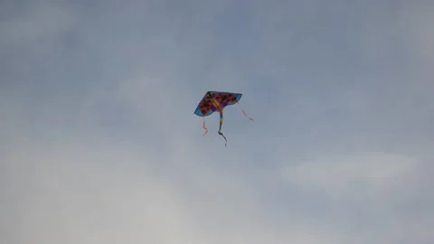 Kite in the sky Stock Footage 239354901