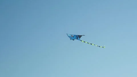 Kite in the sky Stock Footage 299818575