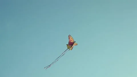 Kite in the sky Stock Footage 299818612
