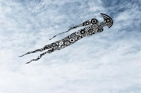 Kite in the sky Stock Photos