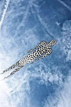 Kite in the sky Stock Photos