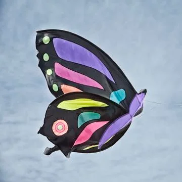 Kite in the sky Stock Photos