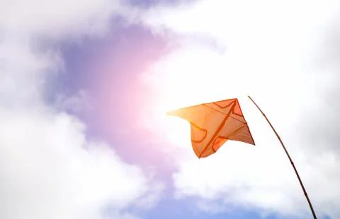 Kite on sky Фото