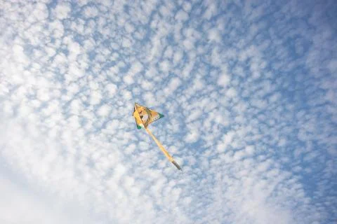 Kite on the sky Stock Photos