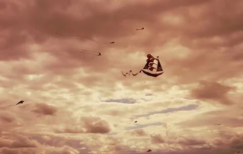Kite on the sky Stock Photos