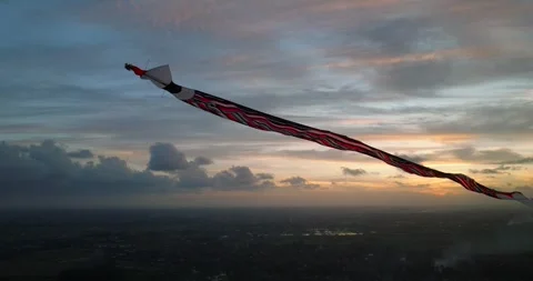 Kite soaring in the evening sky, among clouds at sunset Vidéo 274956443