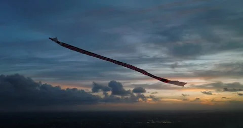 Kite soaring in the evening sky, among clouds at sunset Stock Footage 276089883