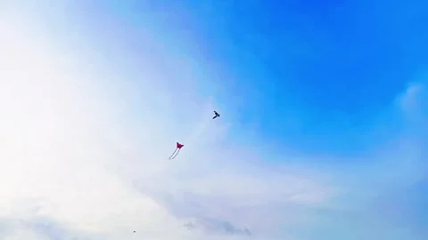 Kite Soaring High in Clear Blue Sky Stock Footage 287935830
