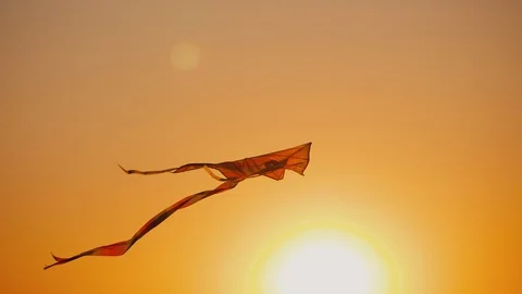 Kite soars in the rays of the setting sun Stock Footage 129334081