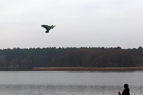 Kite on string in hands of unrecognizable man on the river bank Stock Photos