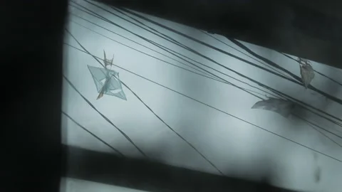 The kite is stuck on the power line, from a low angle. Stockbeeldmateriaal 139380137
