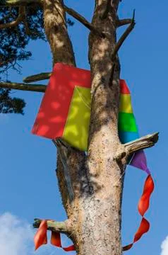 Kite stuck in a tree Stock Illustration
