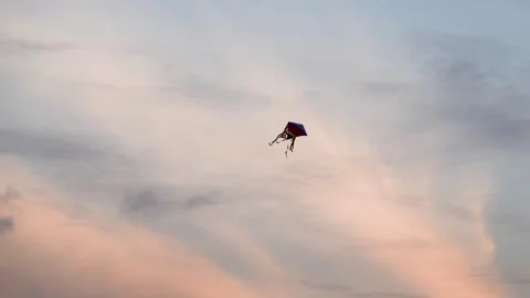 Kite in Sunset 1 Stock Footage 140369107