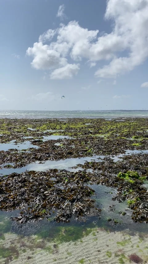 Kite surf on a windy day Stock Footage 171889632