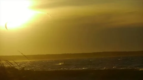 Kite Surfer in Cape Cod Video stock 10855220
