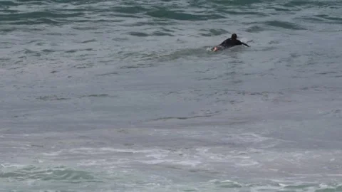 Kite Surfer Isolated Stock Footage 147983084