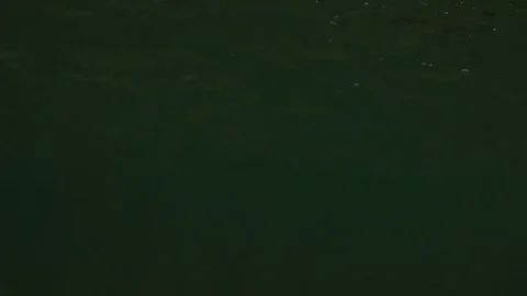 Kite surfer performing acrobatic stunt while wakeboarding on sea Stock Footage 77803304