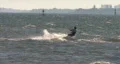 Kite Surfers At The Beach HD Footage