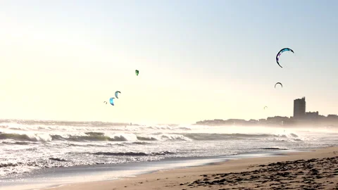 Kite surfers enjoy the wind at the beach Stock Footage 340558169