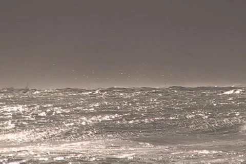 Kite Surfing 11 動画素材 1069612