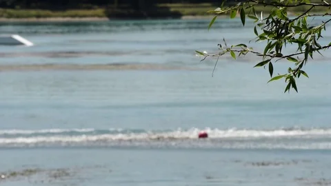 Kite surfing Stock Footage 77735208