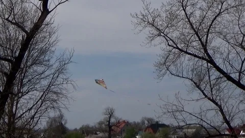 Kite tries to climb into the sky Stock Footage 75579158