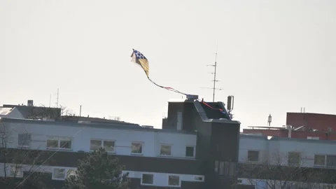 Kite in the Wind at Berlins Mauerpark Stock Footage 162759686