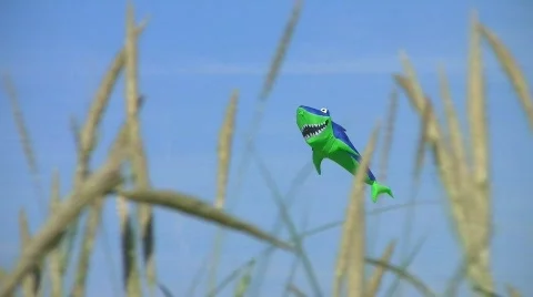 Kite in the wind over crop field Stock Footage 545599