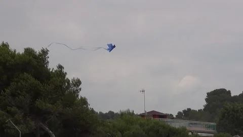 Kite wind sky pine trees cloudy overcast colorful fun camper caravan Stock Footage 328828127
