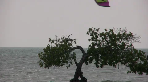 Kiteboard 2 at 29.9 fps - one of series Vidéo 44811820